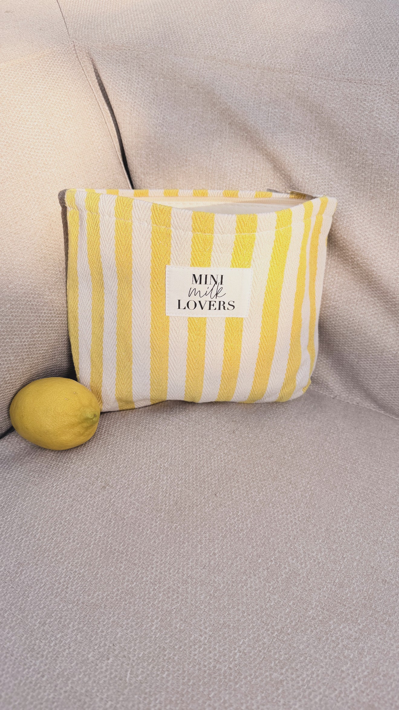 Teddy bag