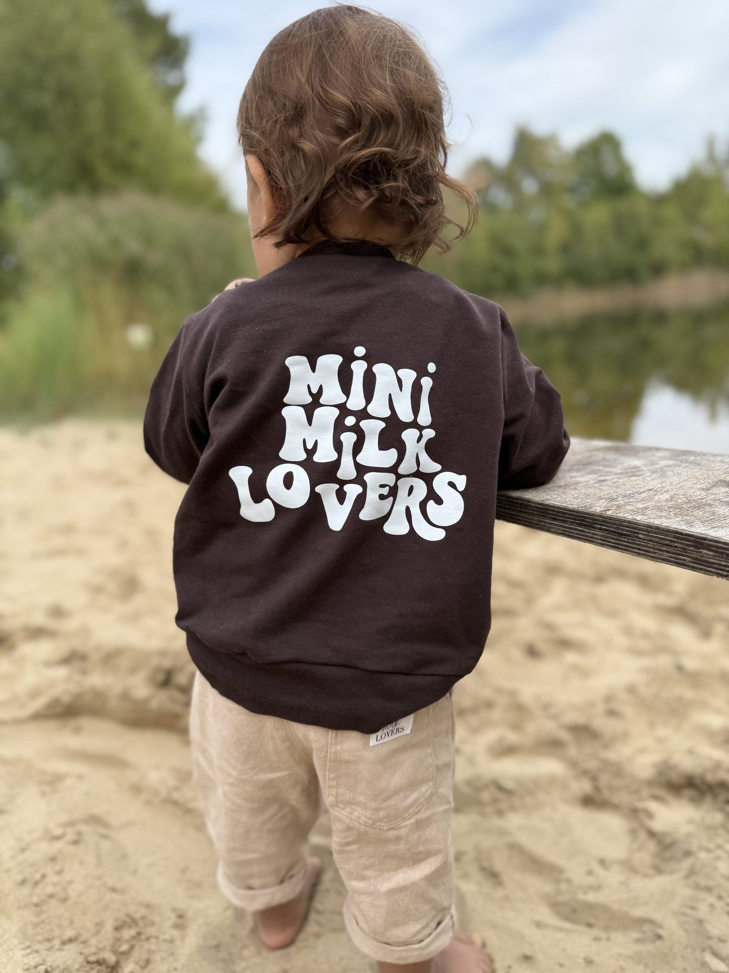 Retro Sweater in Chocolate Brown