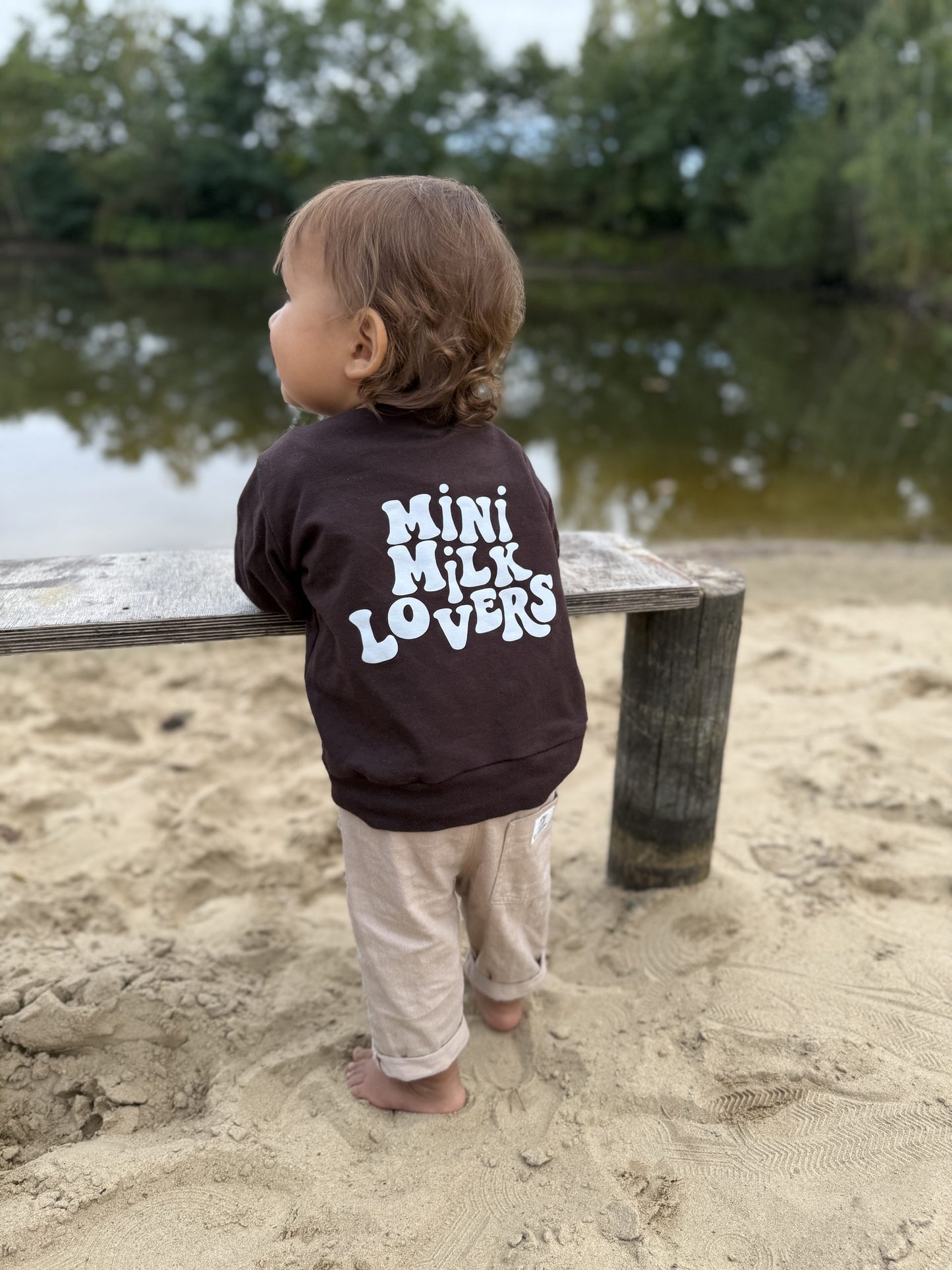 Retro Sweater in Chocolate Brown