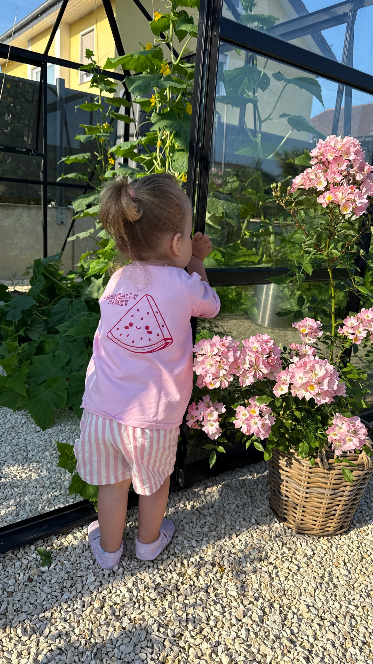Watermelon T-Shirt BUNDLE + GRATIS Socken