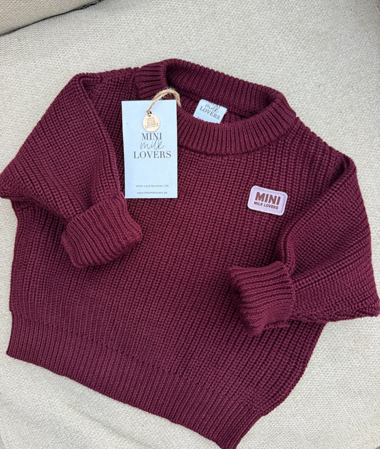 Strickpullover aus Bio Baumwolle Dark Grape 🍇