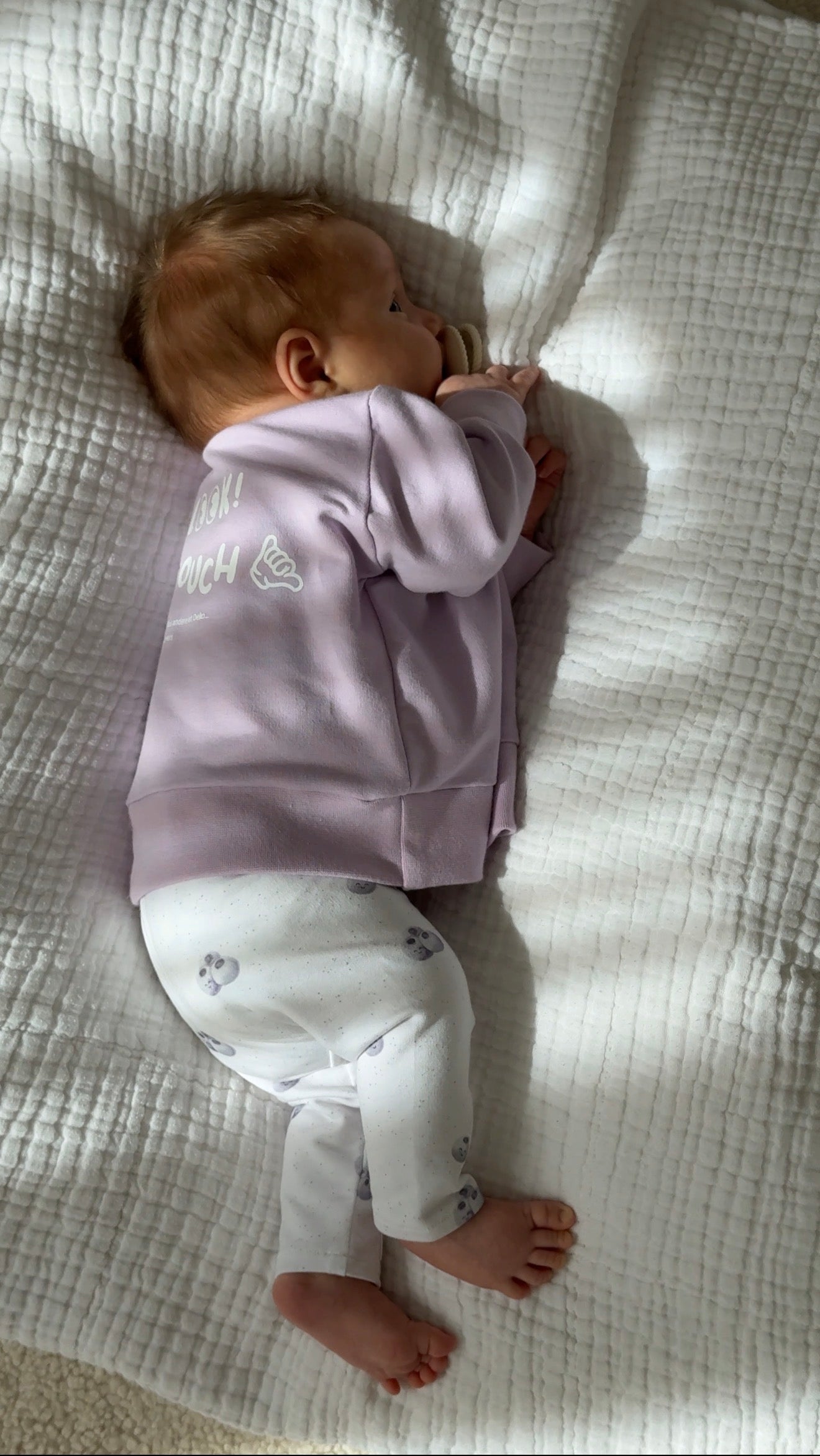 Just Look, Don´t Touch Sweater, Pullover, Flieder