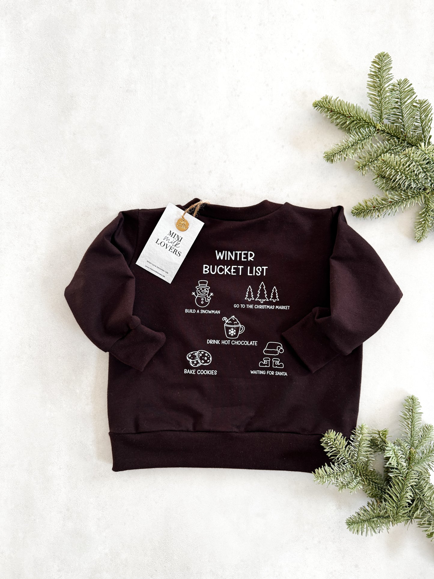 Winter Bucket List Sweater in Chocolate Brown